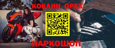 ГАЛЛЮЦИНОГЕННЫЕ ГРИБЫ Славгород