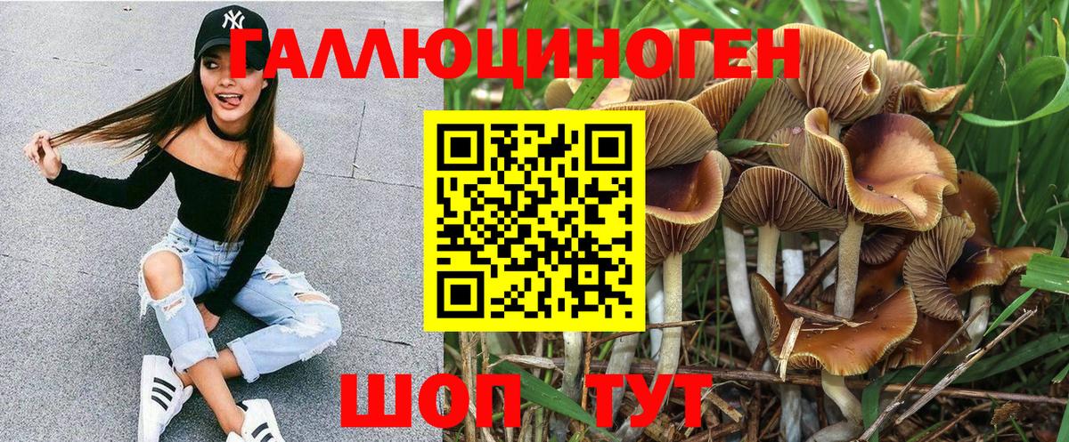 Псилоцибиновые грибы GOLDEN TEACHER Орёл