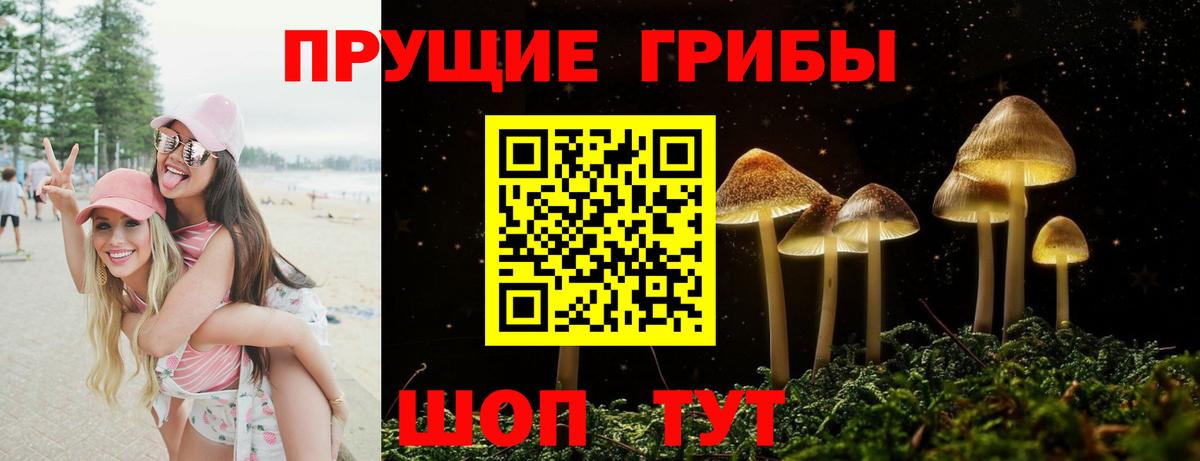 Орёл  Галлюциногенные грибы ЛСД  Вход с VPN  Псилоцибиновые грибы Psilocybine cubensis 